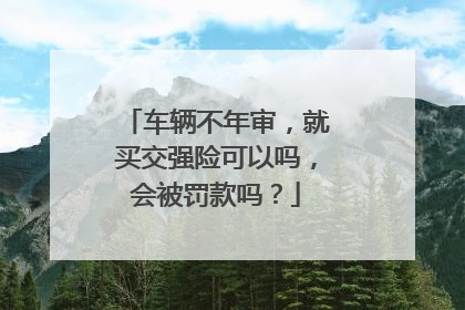 车辆不年审，就买交强险可以吗，会被罚款吗？