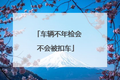 车辆不年检会不会被扣车
