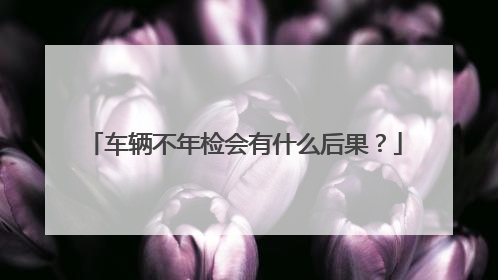 车辆不年检会有什么后果？