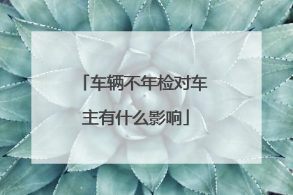 车辆不年检对车主有什么影响