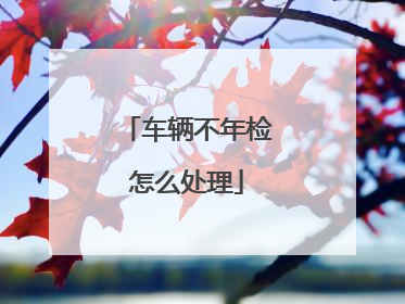 车辆不年检怎么处理