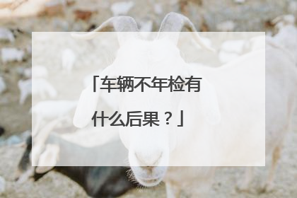 车辆不年检有什么后果？
