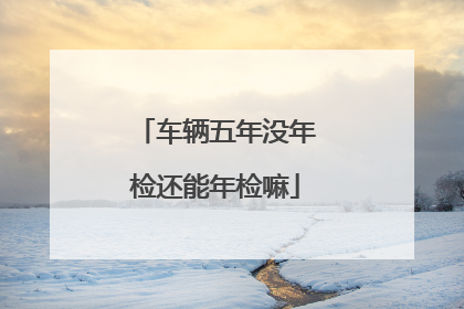 车辆五年没年检还能年检嘛