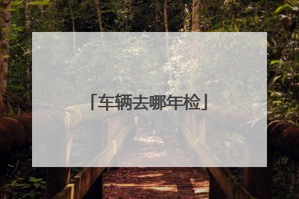 车辆去哪年检