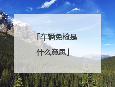 车辆免检是什么意思