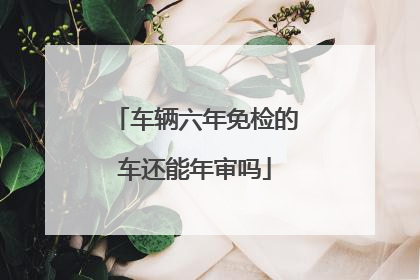 车辆六年免检的车还能年审吗
