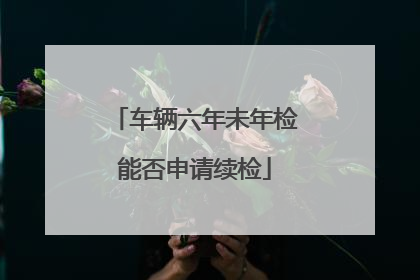 车辆六年未年检能否申请续检