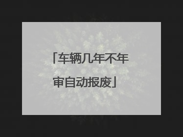 车辆几年不年审自动报废