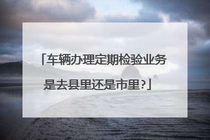 车辆办理定期检验业务是去县里还是市里?