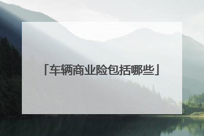 车辆商业险包括哪些