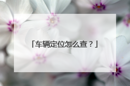 车辆定位怎么查？