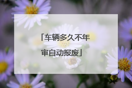 车辆多久不年审自动报废