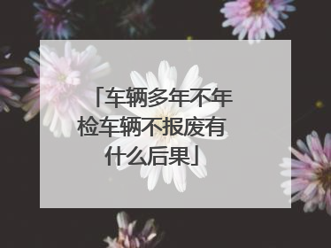 车辆多年不年检车辆不报废有什么后果