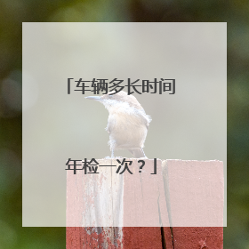 车辆多长时间年检一次？