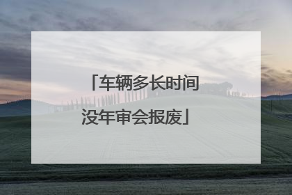 车辆多长时间没年审会报废