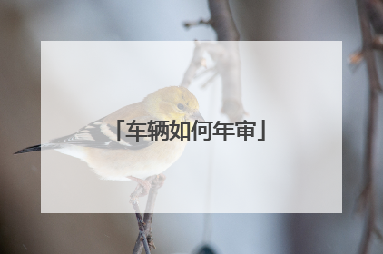车辆如何年审