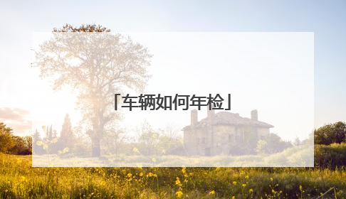 车辆如何年检
