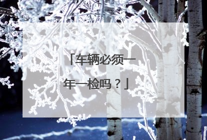 车辆必须一年一检吗？