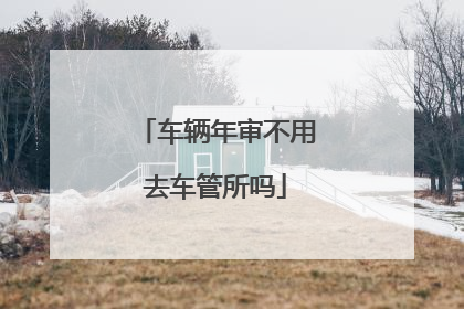 车辆年审不用去车管所吗