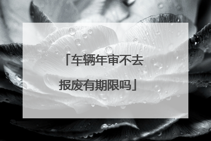 车辆年审不去报废有期限吗