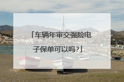 车辆年审交强险电子保单可以吗?