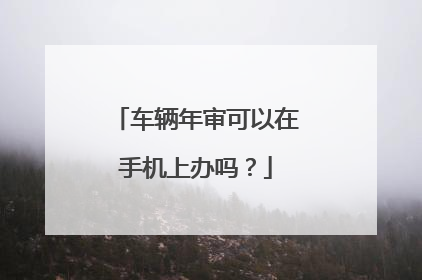 车辆年审可以在手机上办吗？