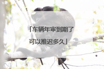 车辆年审到期了可以推迟多久