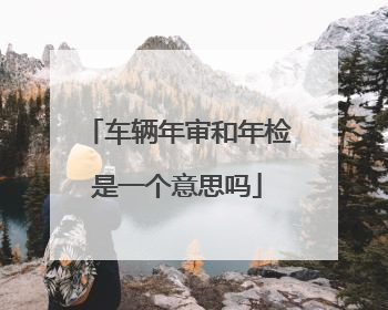 车辆年审和年检是一个意思吗