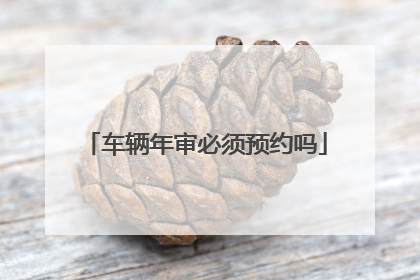 车辆年审必须预约吗