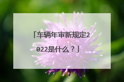 车辆年审新规定2022是什么？