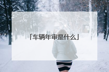 车辆年审是什么