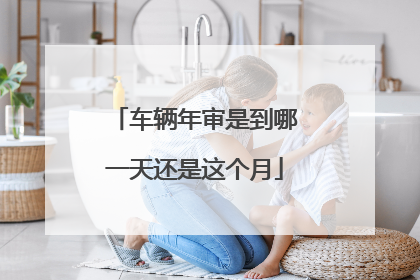 车辆年审是到哪一天还是这个月