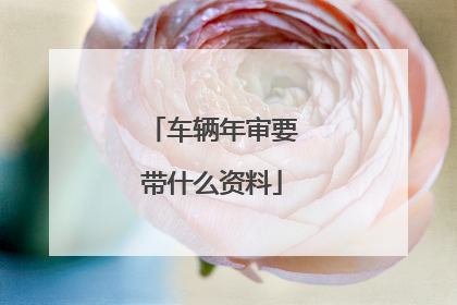 车辆年审要带什么资料
