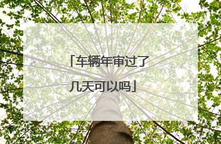 车辆年审过了几天可以吗