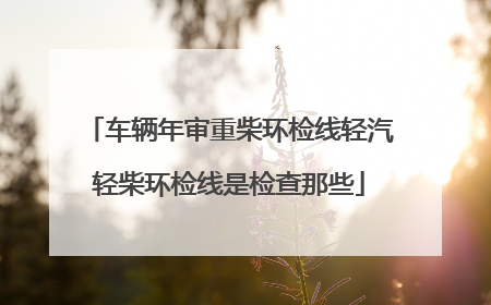 车辆年审重柴环检线轻汽轻柴环检线是检查那些