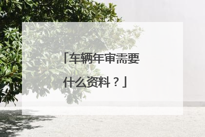车辆年审需要什么资料？