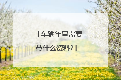 车辆年审需要带什么资料?