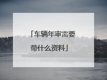 车辆年审需要带什么资料