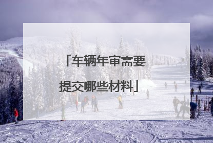 车辆年审需要提交哪些材料