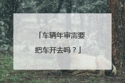 车辆年审需要把车开去吗？