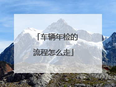 车辆年检的流程怎么走