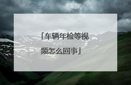 车辆年检等视频怎么回事