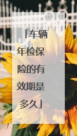 车辆年检保险的有效期是多久