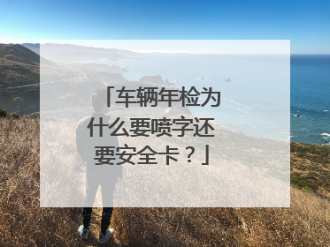 车辆年检为什么要喷字还要安全卡？