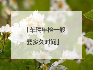 车辆年检一般要多久时间