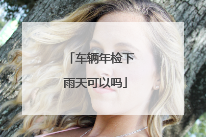 车辆年检下雨天可以吗