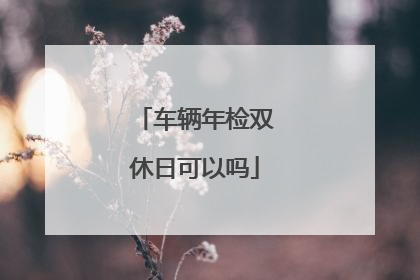车辆年检双休日可以吗