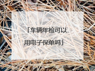 车辆年检可以用电子保单吗