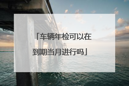 车辆年检可以在到期当月进行吗