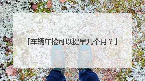 车辆年检可以提早几个月？